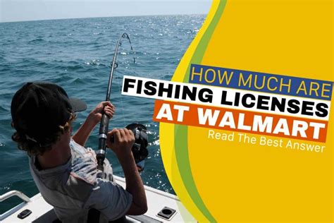 How Much Are Fishing Licenses at Walmart: A Dive into the World of Angling and Retail