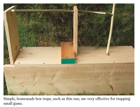 How to Make Animal Traps: A Guide to Crafting Effective and Ethical Traps