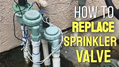 How to Repair a Sprinkler Head: A Journey Through the Garden of Possibilities