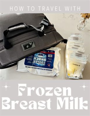 How to Travel with Frozen Breast Milk: A Journey Through Time and Space